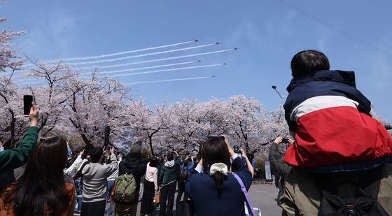 벚꽃과 블랙이글스