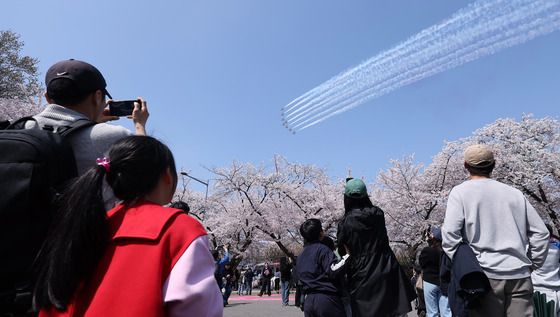 벚꽃 그리고 블랙이글스