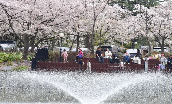 평온한 봄 오후
