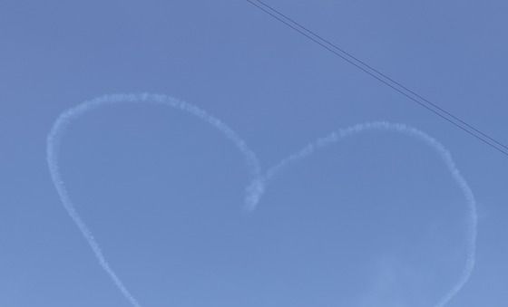가족과 함께 '봄꽃축제'