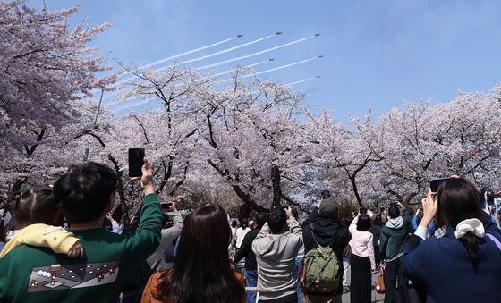 벚꽃과 블랙이글스