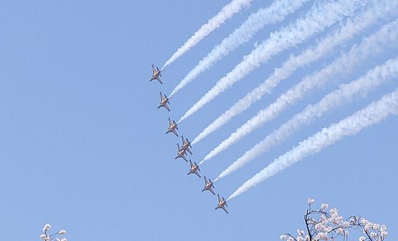 블랙이글스와 벚꽃