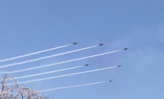 블랙이글스와 벚꽃