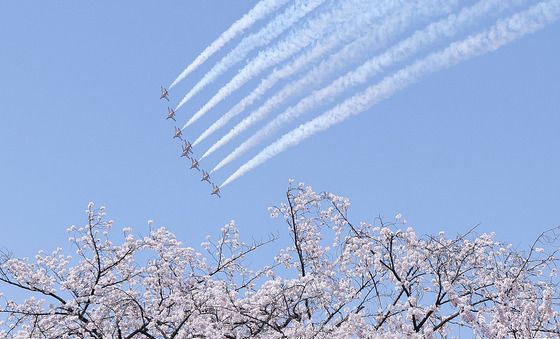 벚꽃 하늘 수 놓는 블랙이글스