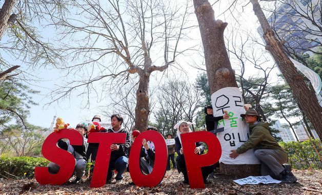 '나무야 나무야, 미안해'