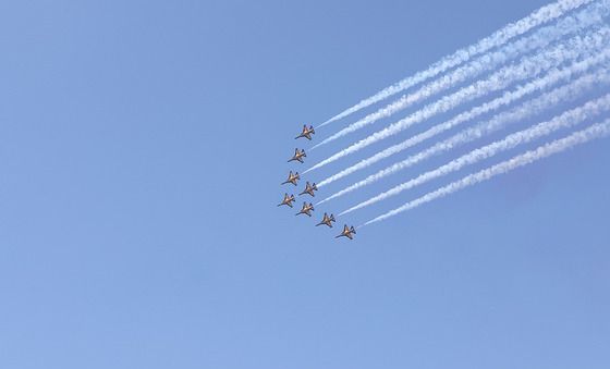 봄하늘과 블랙이글스