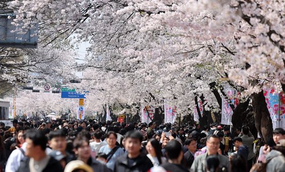 북적이는 여의도 봄꽃축제