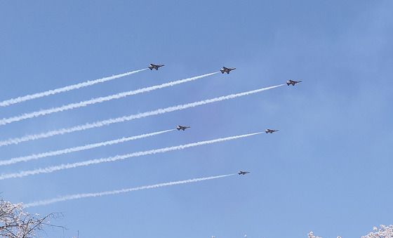 봄 벚꽃 그리고 블랙이글스