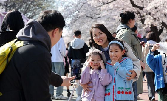 벚꽃 아래에서 추억 남기는 가족들
