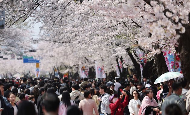 북적이는 윤중로