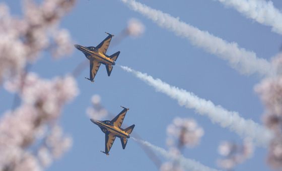 블랙이글스, 벚꽃 사이로