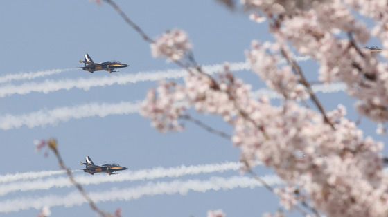 블랙이글스, 봄꽃축제 축하비행