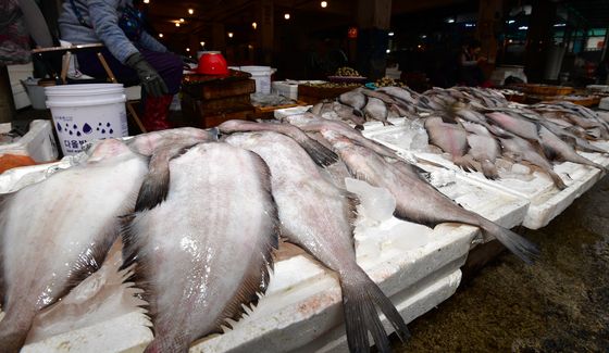 제철 생선 물가자미