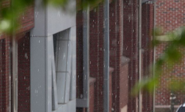 요란하게 내리는 봄비