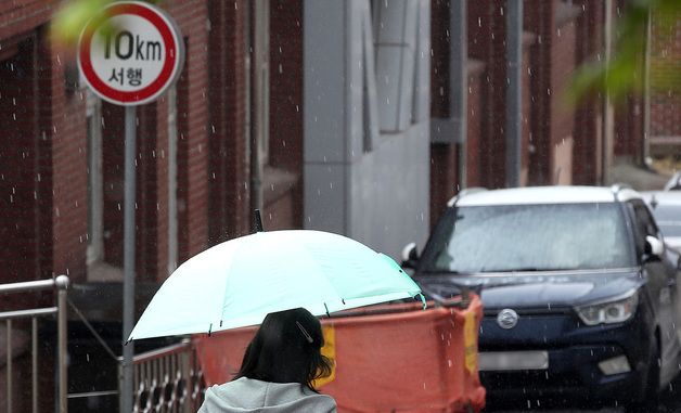 요란하게 내리는 봄비