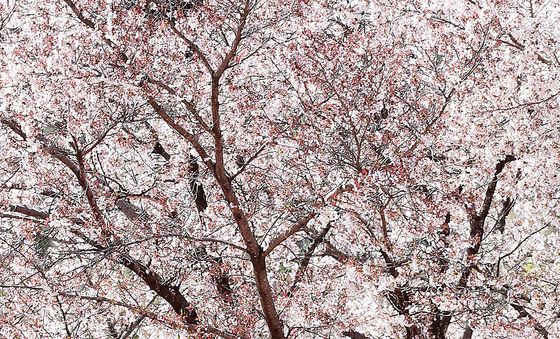 봄 나들이 갑니다