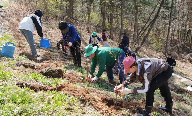 새마을운동중앙회, 200만 그루 나무심기 추진