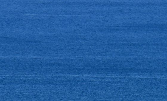 봄바람 타고 살랑살랑