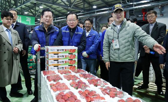 "싱싱한 딸기 왔어요"