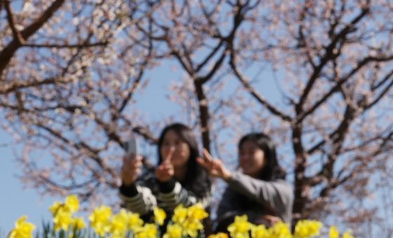 산책하기 좋은 날