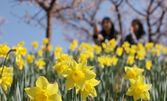산책하기 좋은 날
