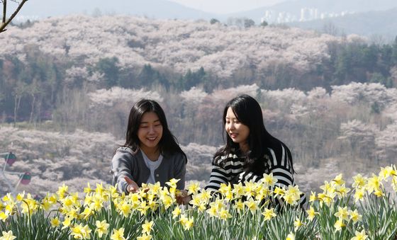 봄꽃 나들이 즐기러 오세요