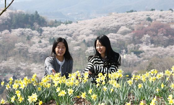 봄꽃 나들이 즐기러 오세요