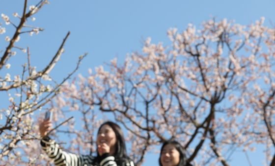 봄꽃 나들이 즐기러 오세요