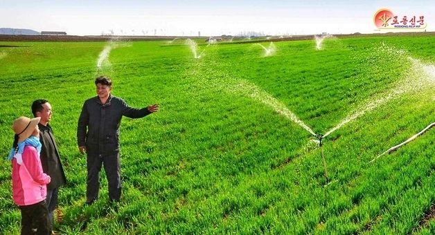 북한 "가뭄 현상 지속…밀·보리 상태 구체적 파악"