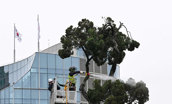서초구, 천년향 봄맞이 목욕