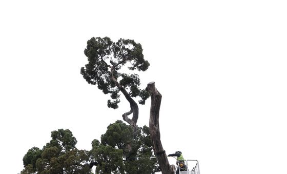 '아태 사법정의 허브' 천년향 봄맞이 목욕