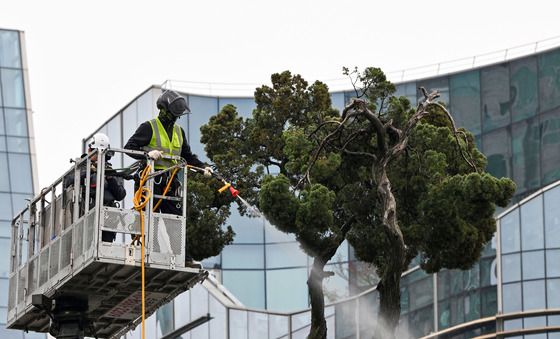 미세먼지 씻어내는 '아태 사법정의 허브' 천년향