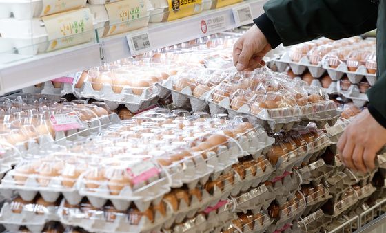 '계란이 저렴하네'