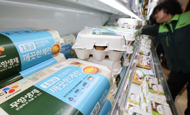 정부, 계란 가격 안정 대책