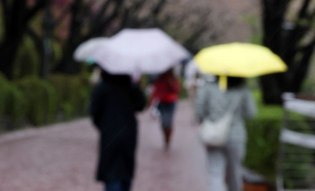 강한 봄비에 '벚꽃 엔딩'