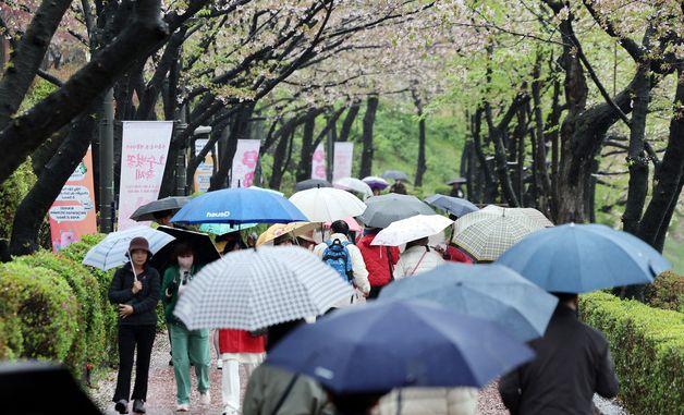 봄비 내리는 석촌호수