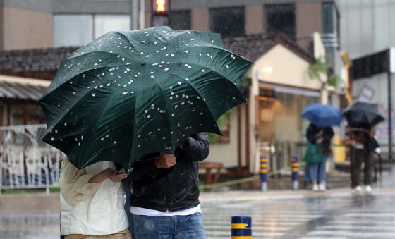 요란한 봄비에 '벚꽃 엔딩'