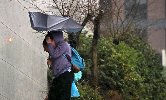 부산에 요란한 봄비