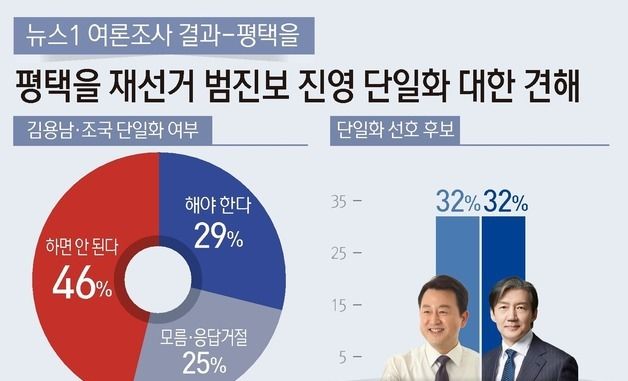 [그래픽] 뉴스1 여론조사 결과-평택을 범진보 진영 단일화에 대한 견해