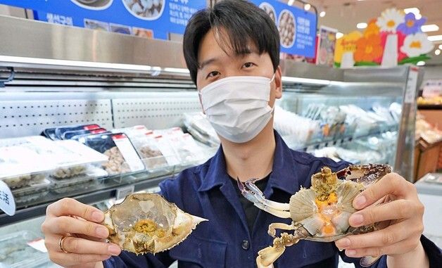 롯데마트, '알배기 암꽃게' 한정 판매