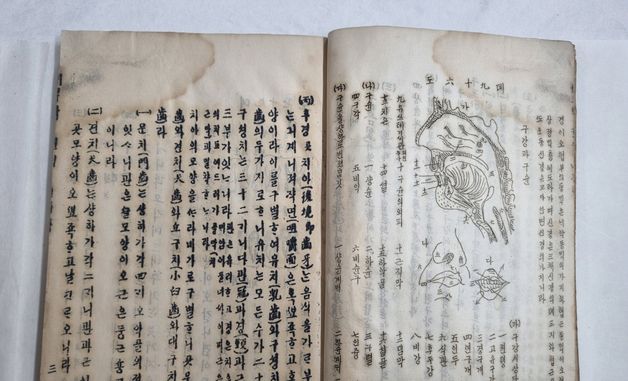 국가유산청, 최초의 한글 의학 교과서 '해부학' 국가등록문화유산 등록 예고