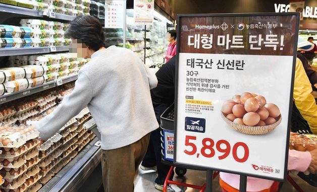 홈플러스, 태국산 신선란 하루 만에 완판
