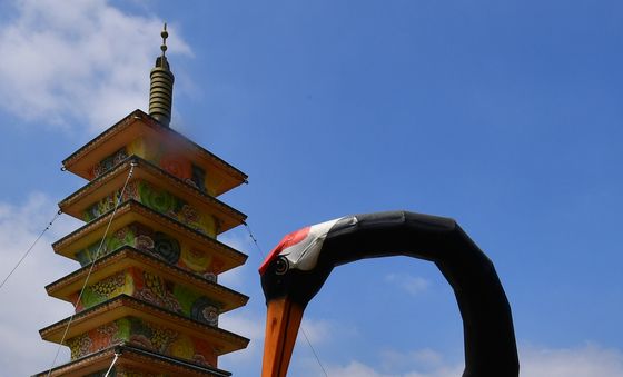 경주 형산강에 나타난 황새 장엄등