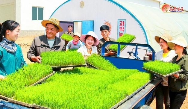 北 엄곳농장, 모내기 진척 선도…현장 기세 고조