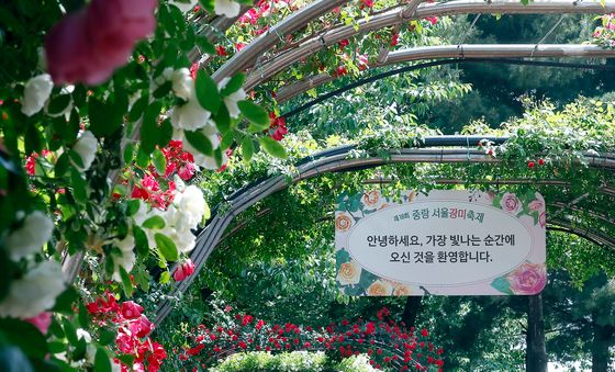 서울장미축제 찾아 시민들과 인사 나누는 오세훈 후보