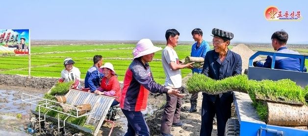 北 "풍년농사 기세 고조"…숙천군 사산농장 부각