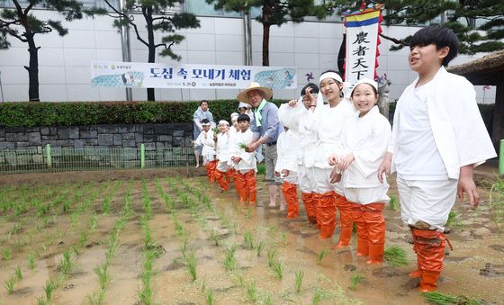 꼬마 농부들의 도심 속 모내기 체험