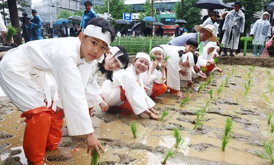 '우리 모내기 잘 심죠?'