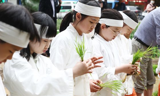 고사리 손으로 해보는 전통 모내기 체험