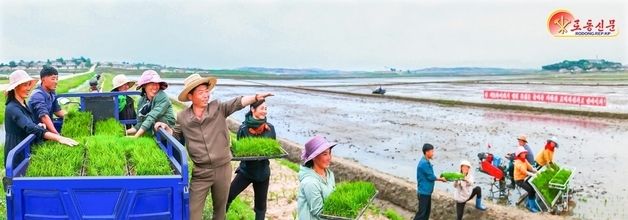 북한 황해남도 농촌들 "모내기 성과 확대"